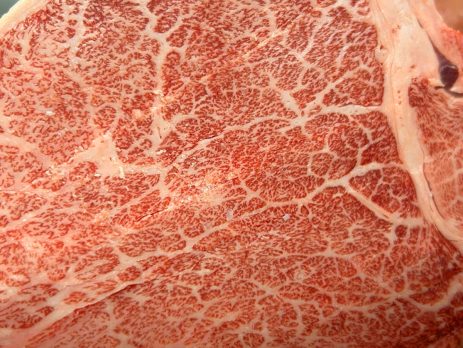 Solomillo de Wagyu A5+