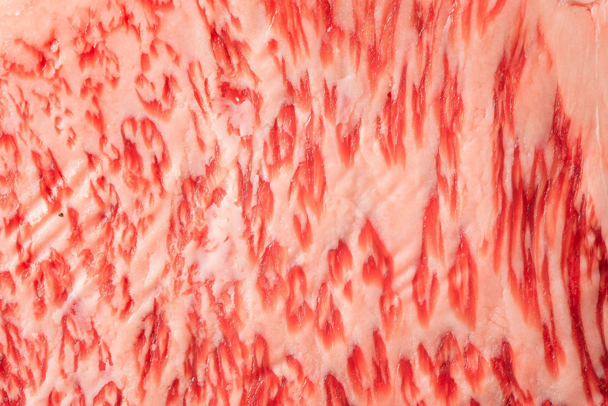 Lomo Bajo Wagyu Japonés A5+ - Imagen 4